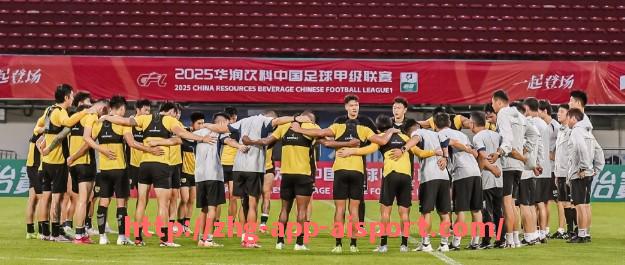 爱体育app-历史上降级最惨烈的德甲球队回顾：积分、比分与原因